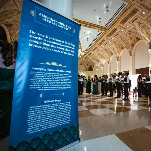 Large signage displayed at the entry of the Hero Dog Awards gala with American Humane's mission written
