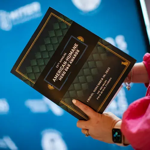 Blue programs branded with American Hero Dog Awards brand refresh