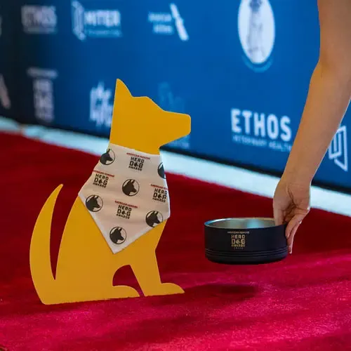 A cardboard dog wearing a branded bandana, next to a branded water bowl.