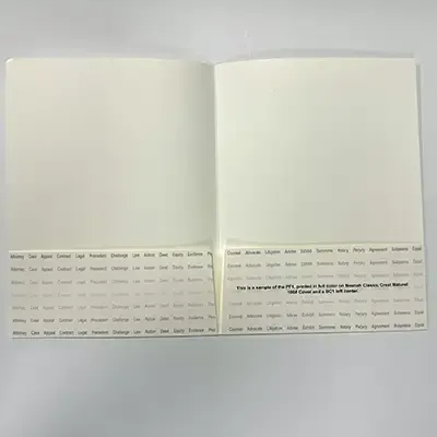custom-folder-printing-at-AlphaGraphics-on-Hillsborough.webp